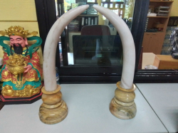 A Nice Pair of Marble  Elephant Tasks. W.24 H.50 Cm.