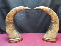 A Pair of Horn Scrimshaws. W.25 H.34 Cm.