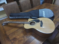 A YAMAHA FS100C Acoustic guitar in a case.