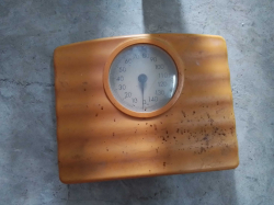 A Bathroom Scale.