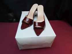 A New Lady Shoes Size 40  