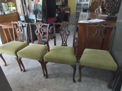 Set of four 19th century Chippendale style chairs, one carver. Mahogany with well carved splats with acanthus  styled leaves. Recently re-covered in green. Cabriole legs with small hoof and pad feet to front, Sabre style to rear as expected.