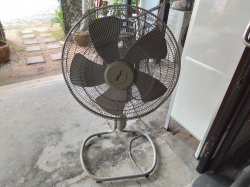 A Large Hatari Fan.