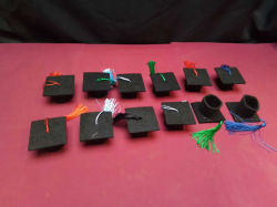 12 New Scholarship Velvet Caps for Wine Bottle Top Covers. 