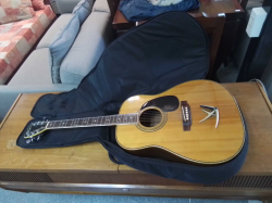 A High Quality Vintage Pearl Acoustic Guitar with case.