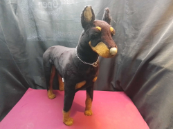 A vintage high quality Doberman German dog. L.63 W.19 H.66 Cm.