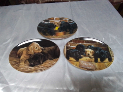 3 Lovely Oval Collection Plates of Cute dogs. 17x22 Cm.