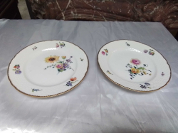 A Pair of Hand painted Bing and Grandal Porcelain Vehicles Cabinet Plats. W.24 Cm.