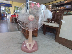 A Hatari fan