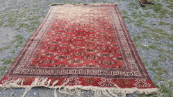 A Traditional hand-knotted Afghan Bukhara rug size 200x290 cm