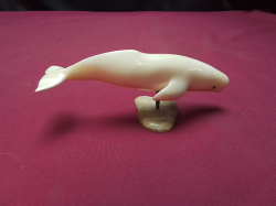 Walrus ivory 