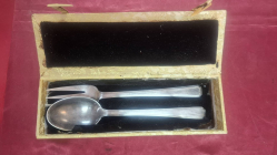 A cased set of silver-plated serving spoon and a matching fork