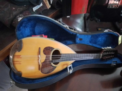 Vintage Suzuki Mandolin w/ hard case (c. 1970sâ€“80s) L62. W21cm.