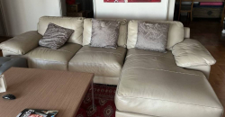 Grey Leather L-Shape Sofa set