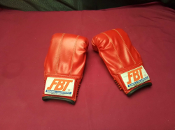 FBT professional and gloves and guards 