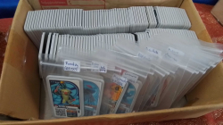 A Selection over 150 of Pokemon Ga-Ole sisks